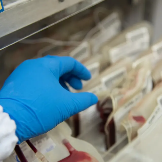 Manos con guantes ordenando bolsas de sangre
